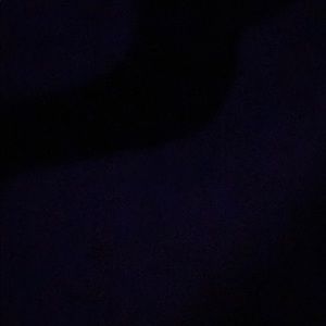 Meet your Posher, Nyla